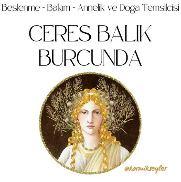 balıkk (1).webp