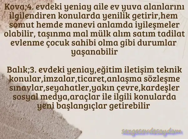 boğa (6).webp