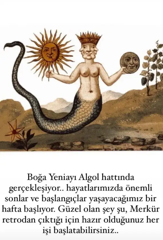 boğa yeniayo4 (1).webp