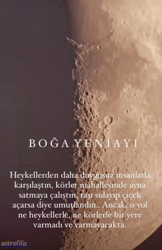 boğa yeniayo4 (3).webp