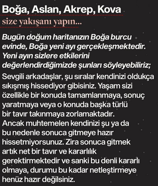 boğa0 (5).jpg