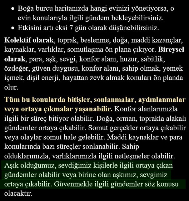 boğa1 (3).jpg