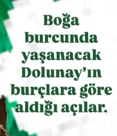 boğa12 (1).jpg