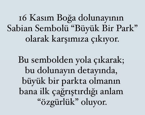 boğa16 (2).jpg