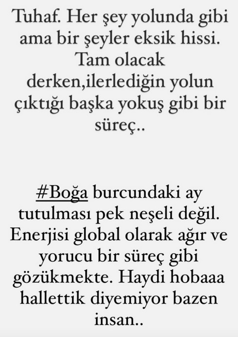 boğa18 (1).jpg