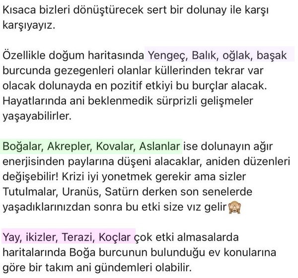 boğa19 (2).jpg