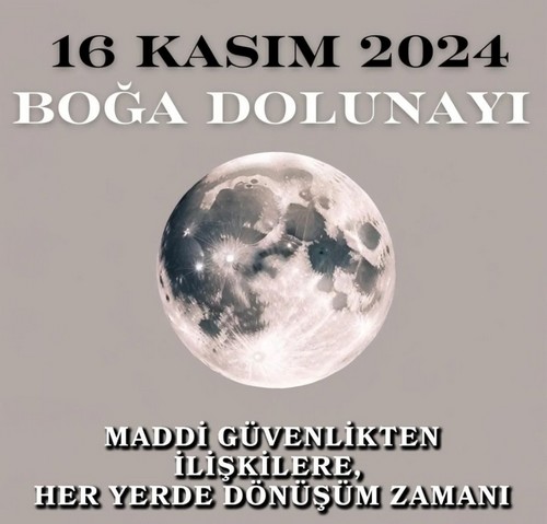 boğa2 (1).jpg