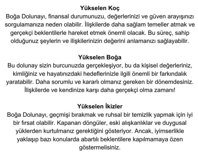 boğa2 (2).jpg