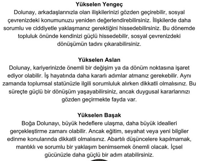 boğa2 (3).jpg