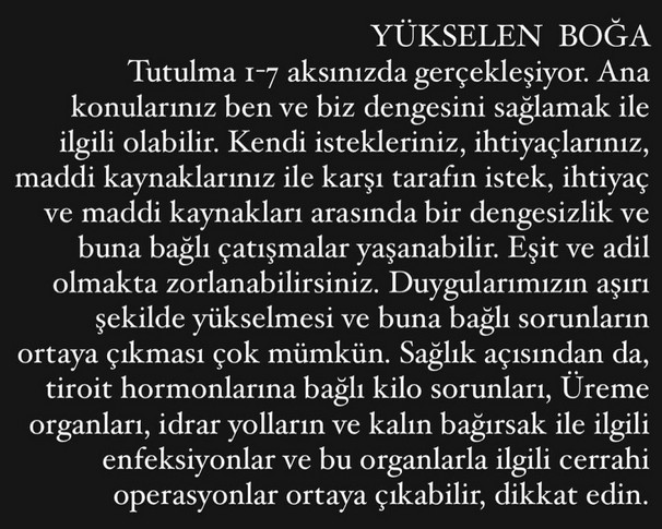 boğa23 (3).jpg