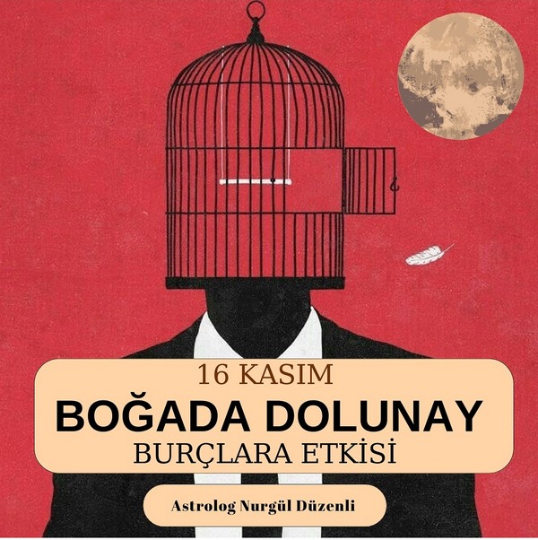 boğa5.jpg