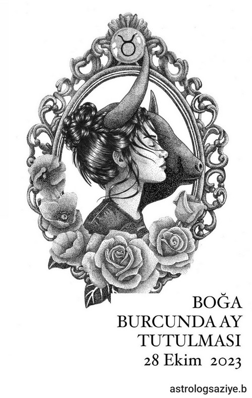 boğa7 (1).jpg