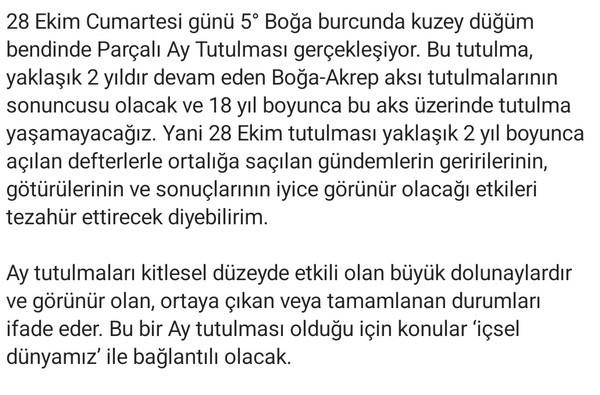 boğa7 (2) - Kopya.jpg