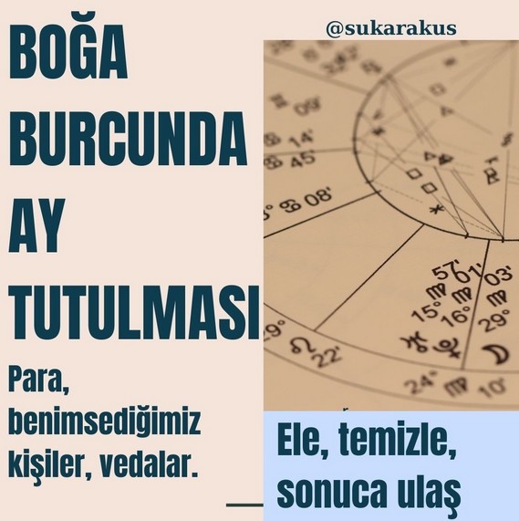 boğa9 (1).jpg