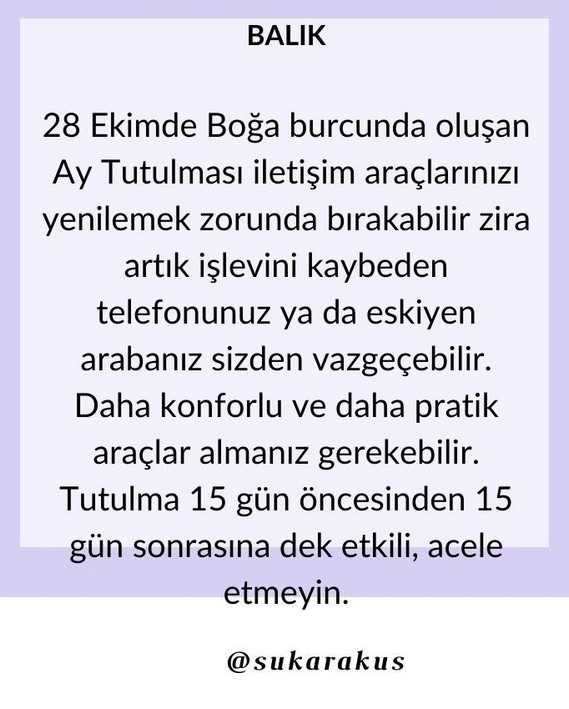 boğa9 (14).jpg