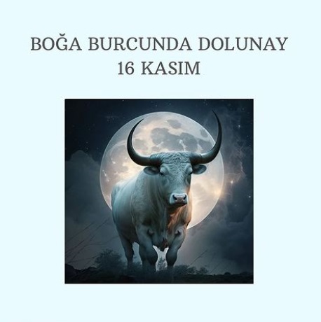 boğğğadolunay (3).jpg