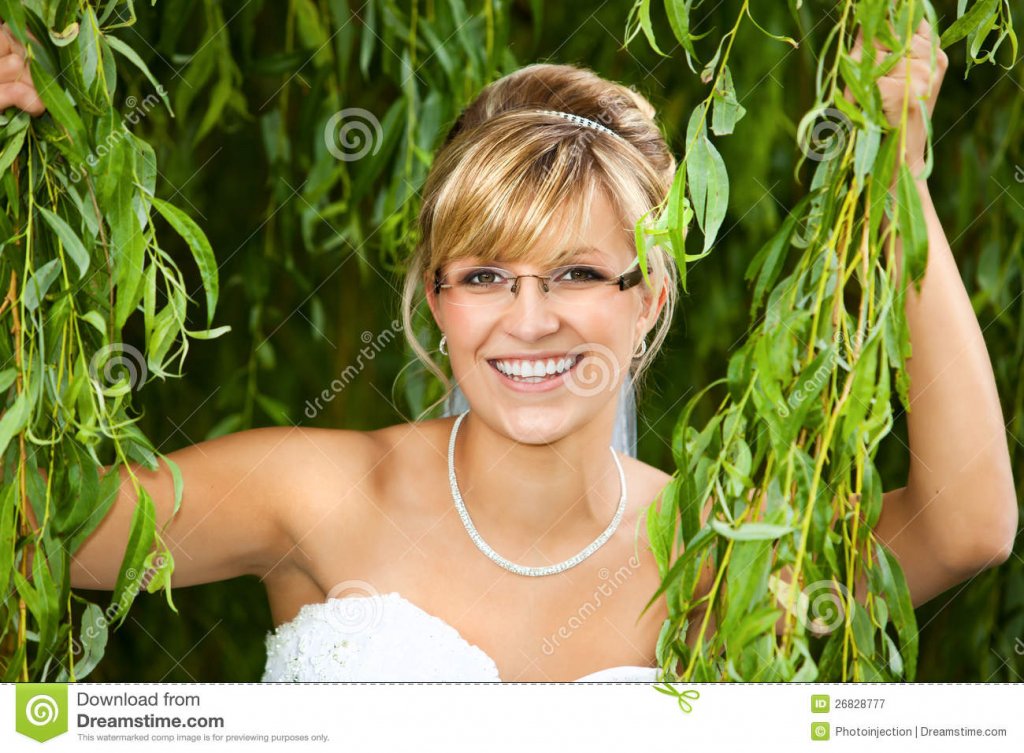 bride-glasses-eyeglasses-26828777.jpg