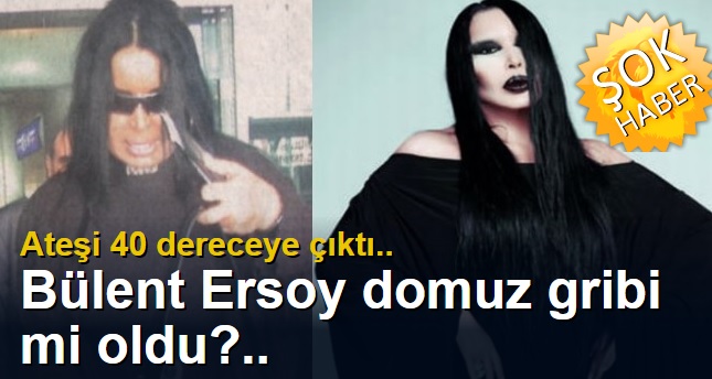 bulent_ersoy_domuz_Gribi.jpg