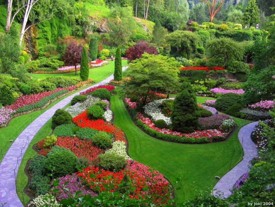 butchart-gardens-2.jpg