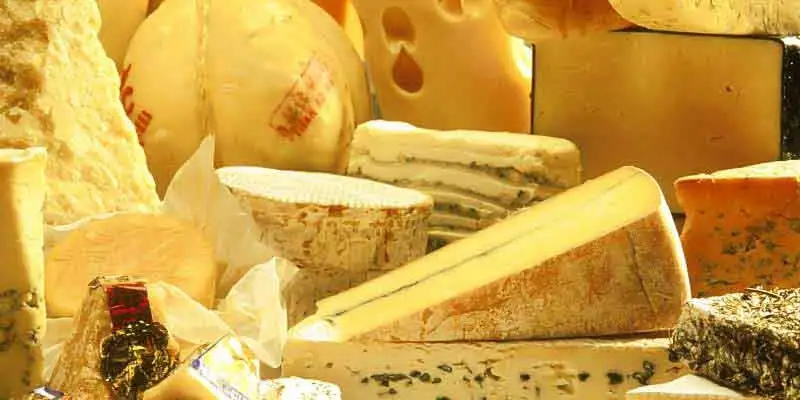 Cheese-e1404419169122-800x400.webp