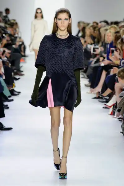 Christian_Dior_Fall_2014_31du15jq22_Px.webp