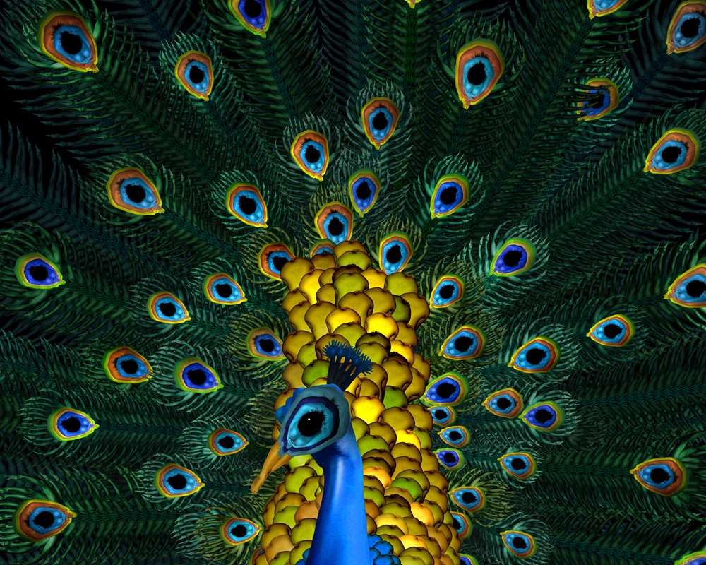 CW-Peacock-1000.jpg