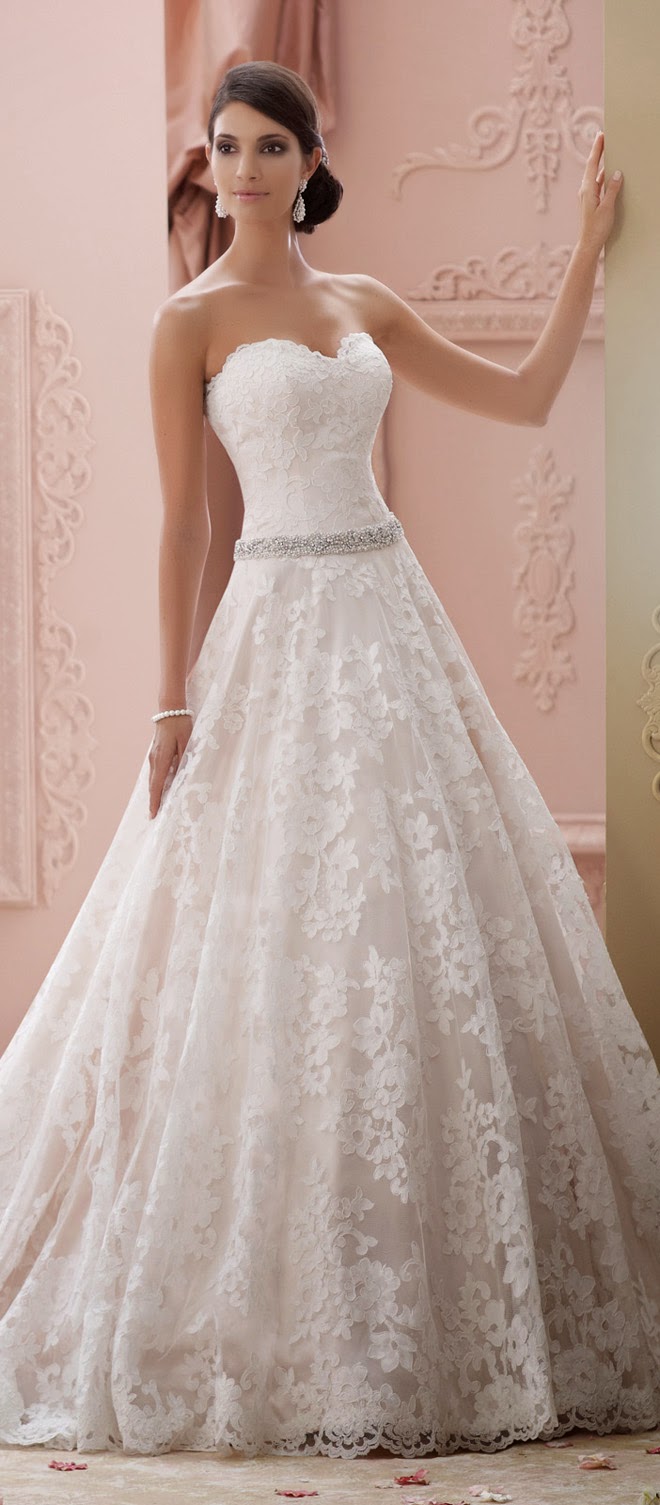 david-tutera-for-mon-cheri-Wedding_dresses-spring-2015-5.jpg