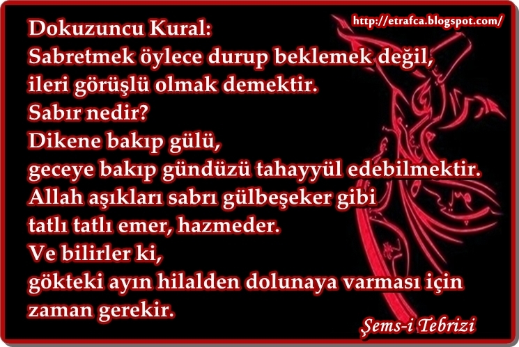 dokuzuncu_kural-mevlana.jpg