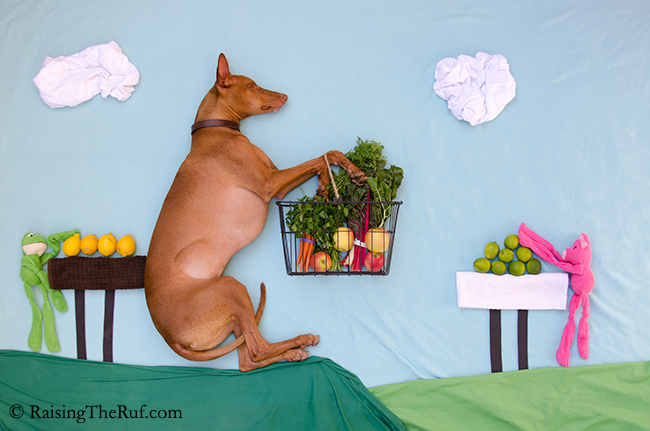 DSC_6775-raisingtheruf-farmersmarket.jpg