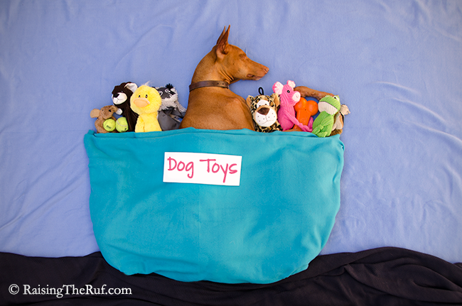 DSC_7087-dogtoys.png