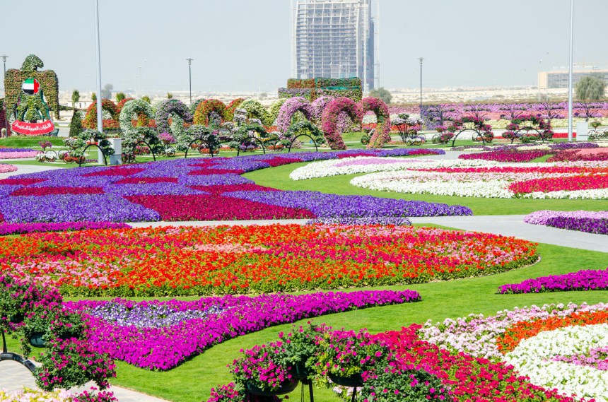 dubai_miracle_garden_1.jpg