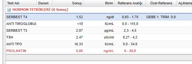 Ekran Alıntısı.JPG