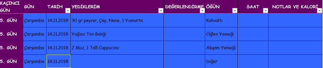 Ekran Alıntısı.PNG