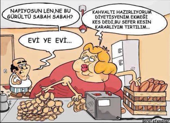 evi-ye-evi-karikatürü.jpg