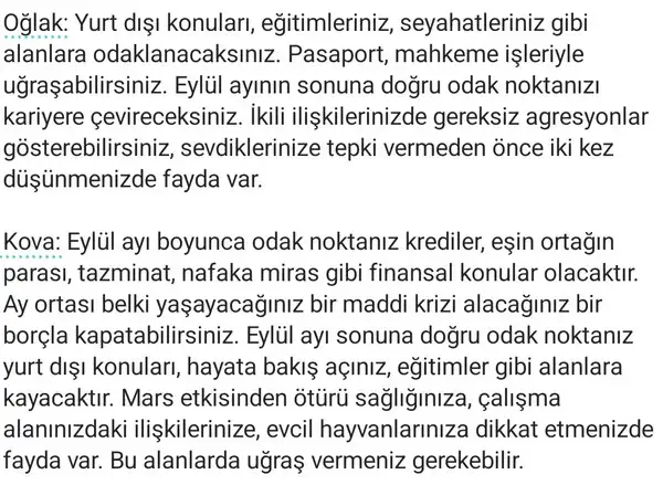 ey6 (5).webp