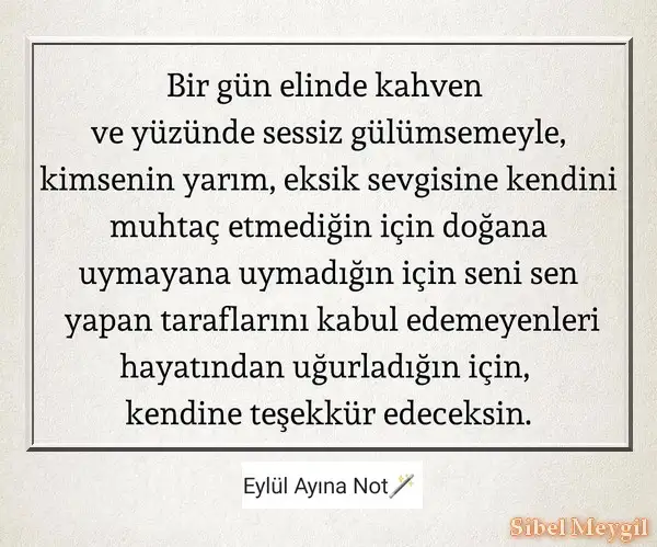eyll.webp