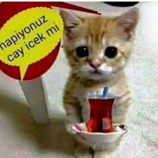 FB_IMG_1452514301673.webp