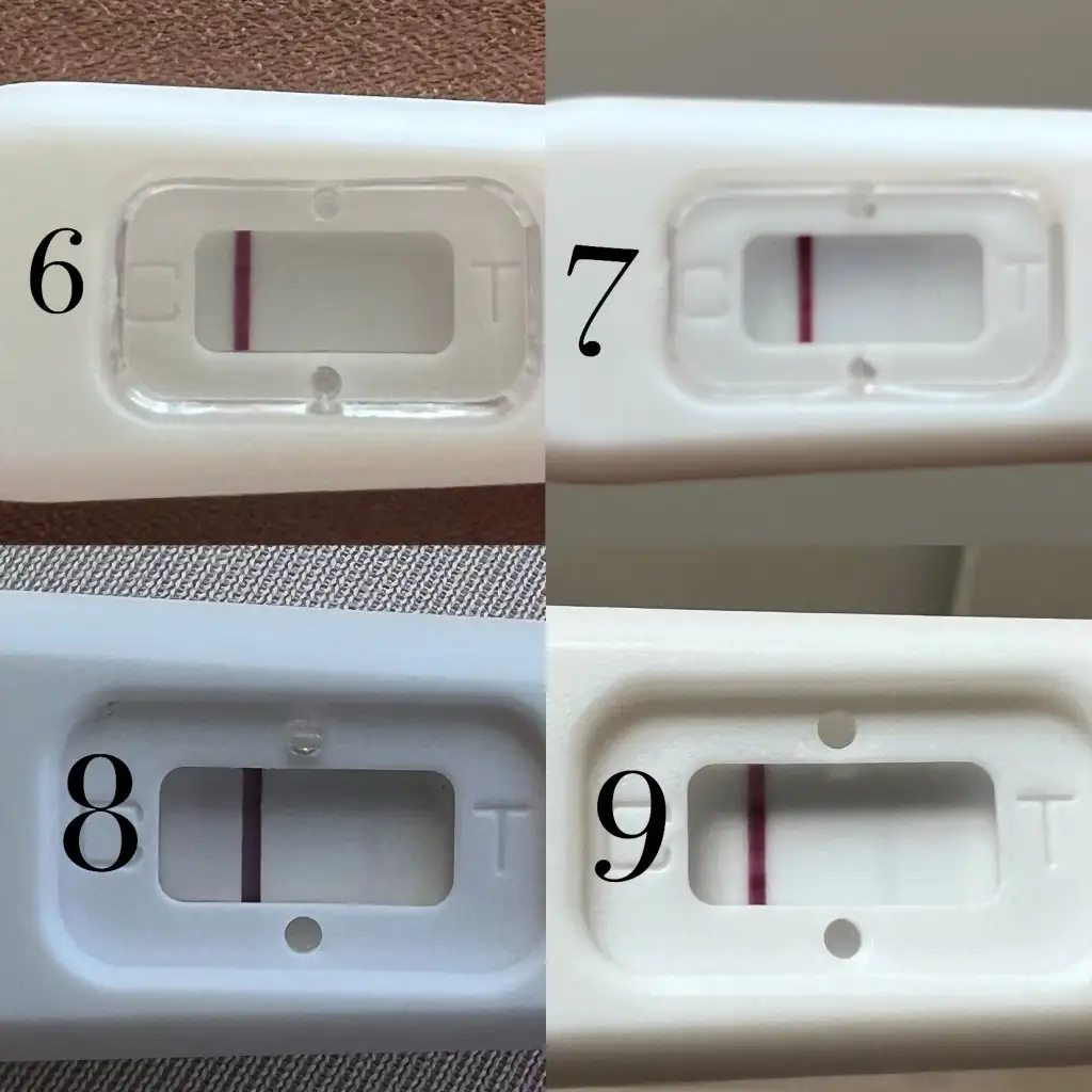 FECAE2FF-58C5-4793-9BCF-9C993C2E15A3.webp