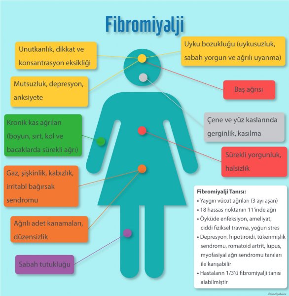 fibromiyalji-belirtileri-infografik-dr-emel-gokmen1.jpg