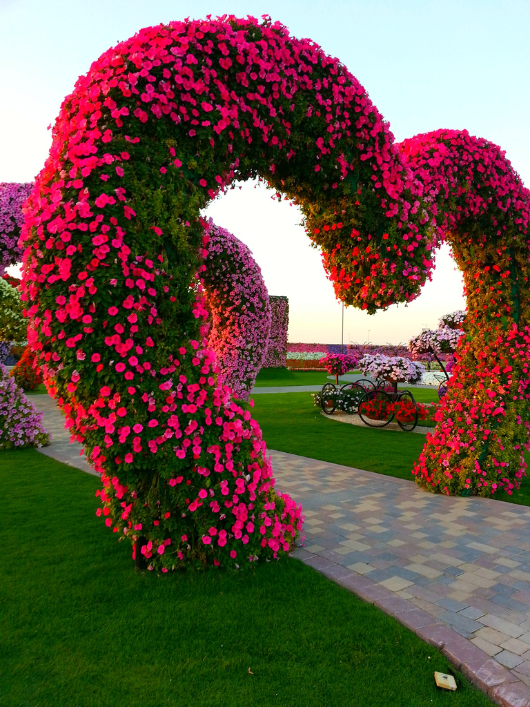 flower-garden-dubai-6.jpg