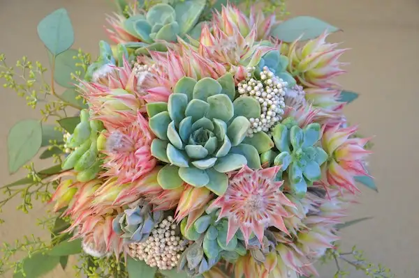 flowerduet.com-blushing-bride-protea-succulent-bridal-bouquet.webp