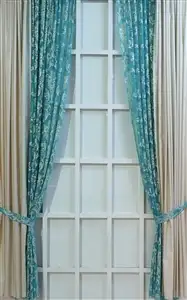 fon turkis.webp