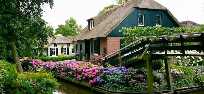 giethoorn_flowers-1728x800_c.jpg