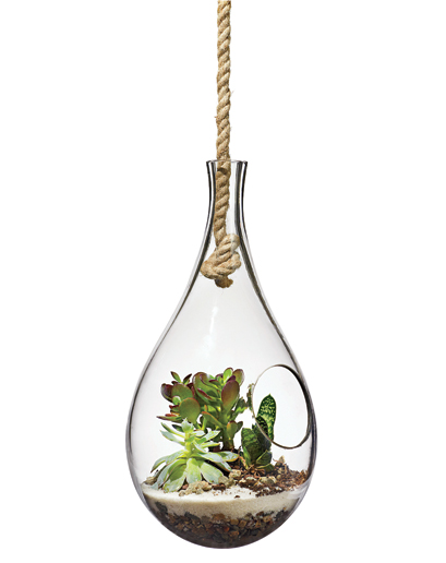 gq-terrarium-1.jpg