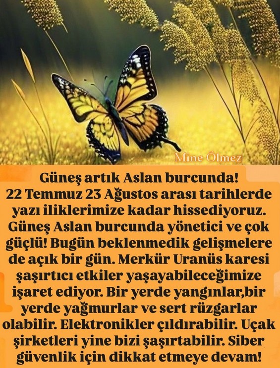 gün as2 (1).jpg