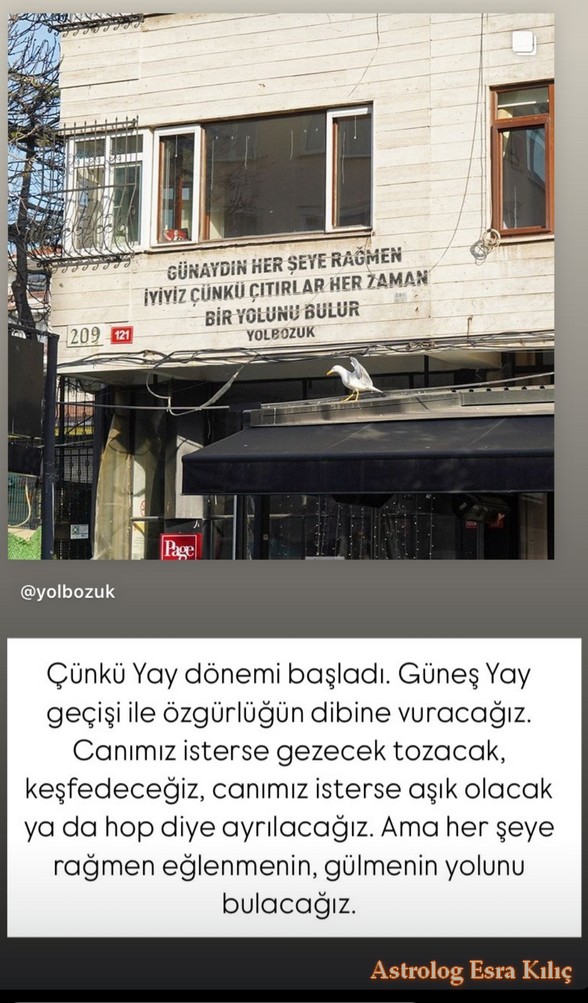 günyayy (2).jpg