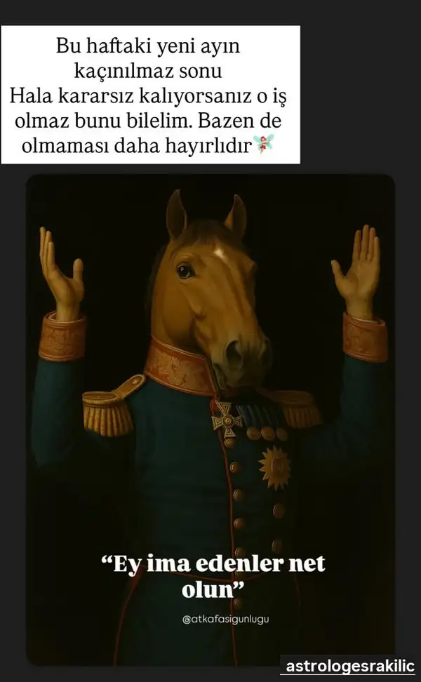 h ve ak.webp