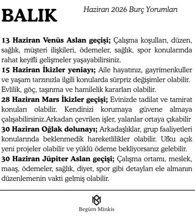 h11 (13).webp