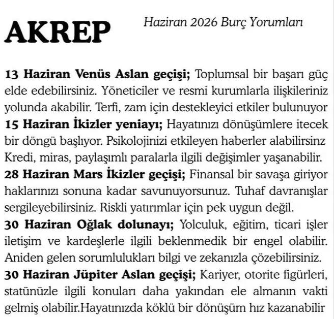 h11 (9).webp
