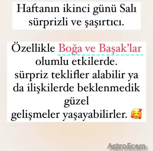 haf15salı.webp